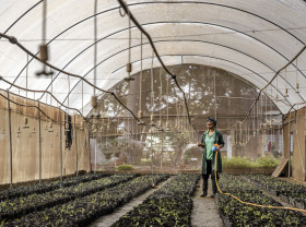 A worker for the Tanzanian Forest Service works watering tree seedlings in a greenhouse at a TFS Tree Nursery and Seed Centre in Morogoro, Tanzania on September 20, 2022.