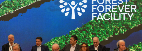 SG at Forest announcement