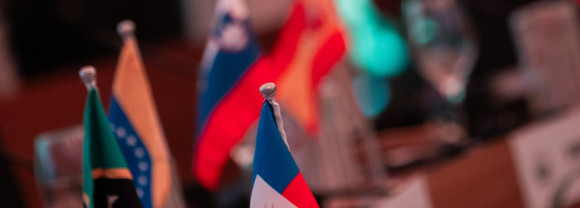 COP30 in Brazil, flags on the table
