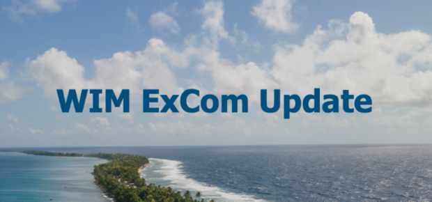 WIM ExCom Update Banner