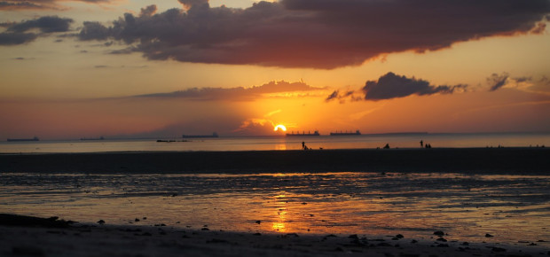 Image by gaspar rocha gaspar from Pixabay